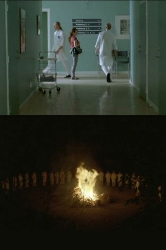 The Rite Of Spring poster