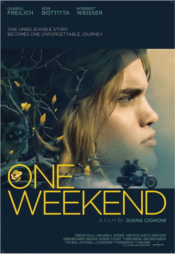 Movie poster for One Weekend (2014)