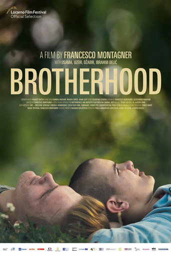 Movie poster for Brotherhood (2022)