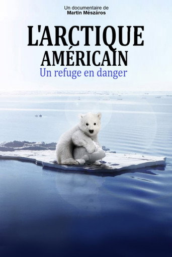 Movie poster for Arctic (2020)