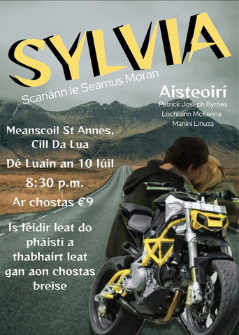 Movie poster for Sylvia (2012)
