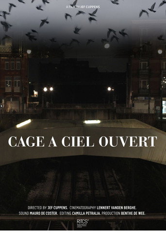 Movie poster for Cage À Ciel Ouvert (2025)