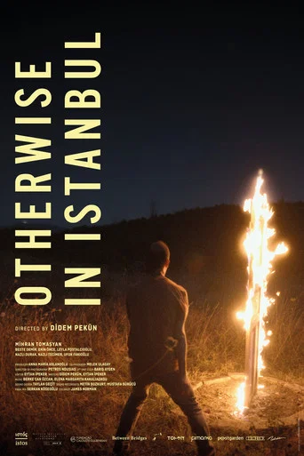 Movie poster for Otherwise in Istanbul (2024)