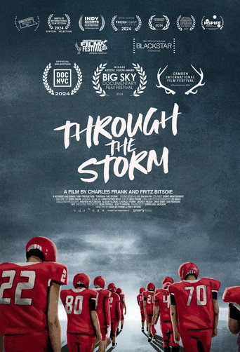 Movie poster for Through the Storm (2024)