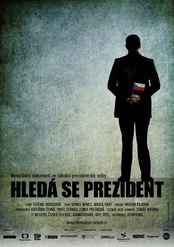 Movie poster for President Wanted (2013)