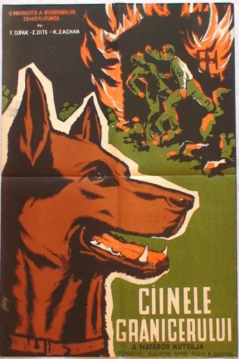 Movie poster for Ztracená stopa (1956)