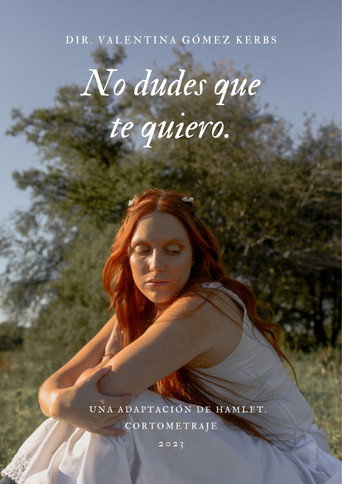 Movie poster for No dudes que te quiero