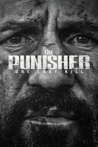 The Punisher: One Last Kill poster
