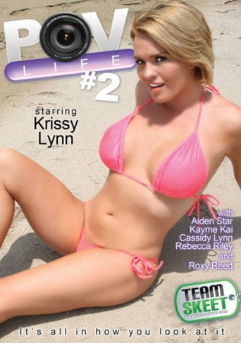Movie poster for POV Life 2 (2011)