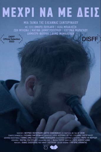 Until You See Me poster