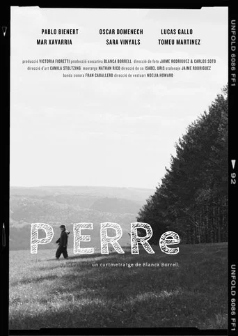 Movie poster for PIERRe (2026)