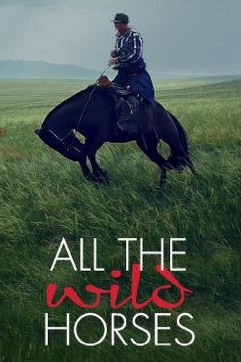Movie poster for All the Wild Horses (2017)