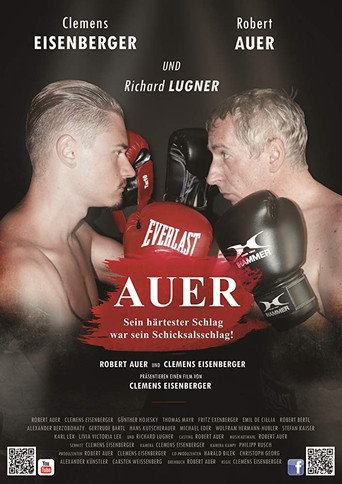 Movie poster for Auer (2017)