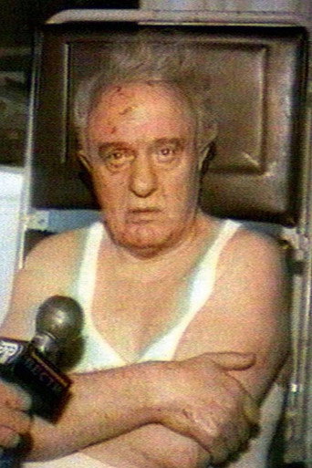 განგსტერული საქართველო poster