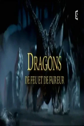 Movie poster for Dragons de feu et de fureur (2017)