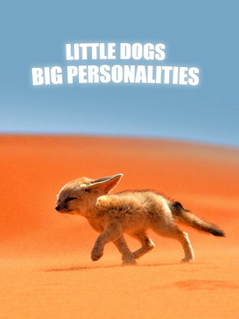 Movie poster for Little Dogs, Big Personalities (2021)