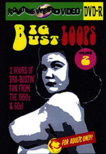 Movie poster for Big Bust Loops Volume 2 (2009)