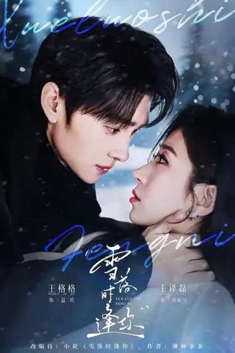 雪落时逢你 poster