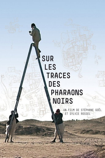 Movie poster for Sur les traces des pharaons noirs (2006)