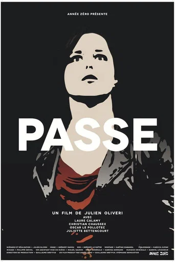 Movie poster for Passe (2013)