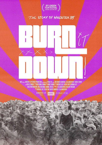 BURN IT DOWN! poster