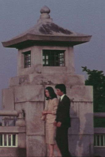 Female Doctor in the Surgical Ward poster