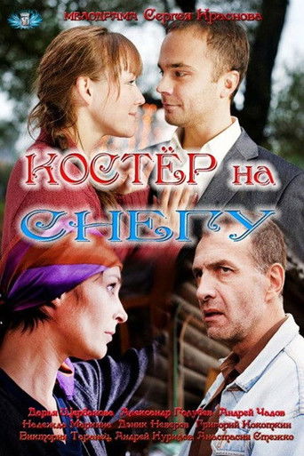 Костёр на снегу poster