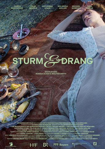 Movie poster for Storm & Stress (2024)