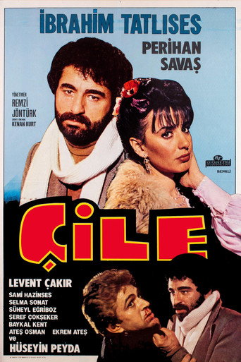Movie poster for Çile (1980)