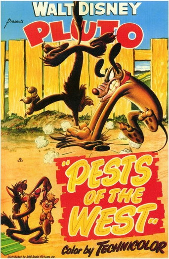 Movie poster for Pests of the West (1950)