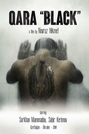 Movie poster for Black (2014)