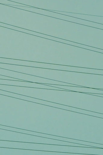 Out of Jungle poster