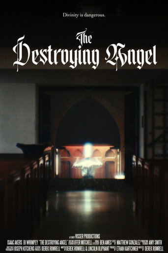 Movie poster for The Destroying Angel (2025)