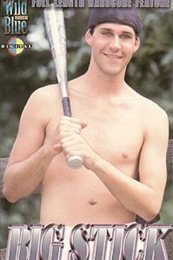 Movie poster for Big Stick (2001)
