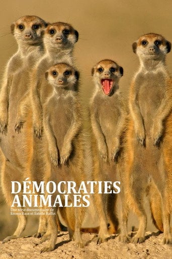Series poster for Démocraties animales (2021)