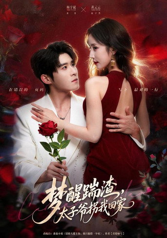 梦醒踹渣，太子爷拐我回家 poster