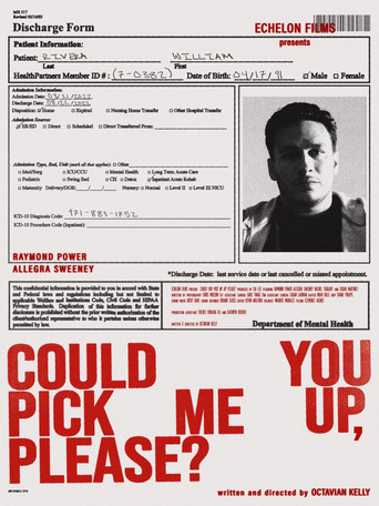 Movie poster for Could You Pick Me Up, Please?