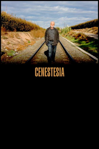 Cenestesia poster