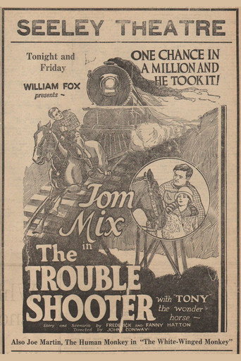 Movie poster for The Trouble Shooter (1924)
