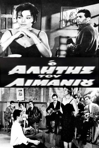 The Harbor Bum poster