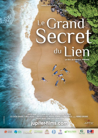 Movie poster for Le Grand Secret du lien (2021)