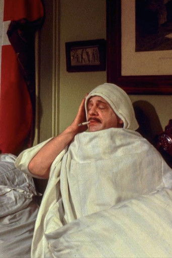 Komedie i grænselandet poster