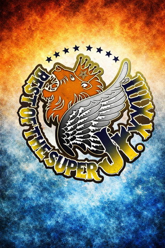 Movie poster for NJPW Best of the Super Junior 23 - Day 14 (Final) (2016)