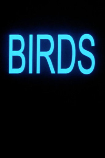 Movie poster for Birds (2001)