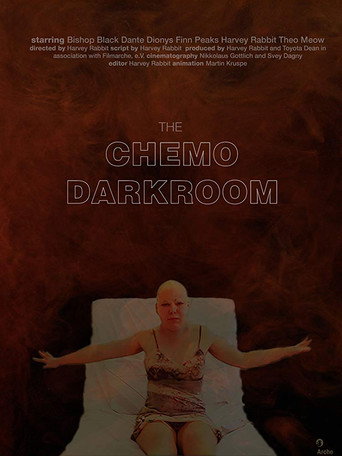 Movie poster for The Chemo Darkroom (2018)