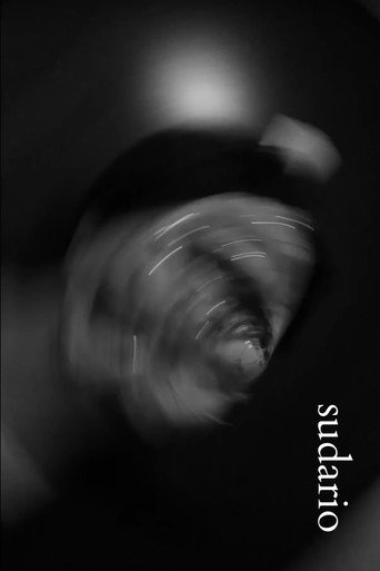 Movie poster for Sudario (2024)