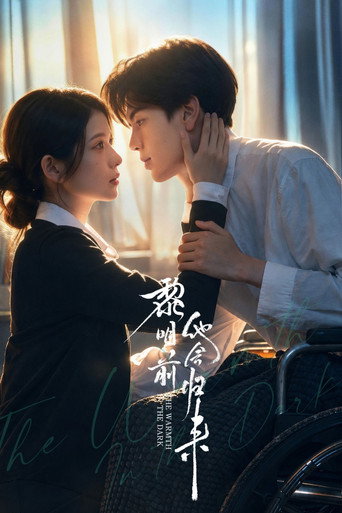 Series poster for The Warmth in the Dark