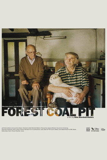 Movie poster for Forest Coal Pit (2022)