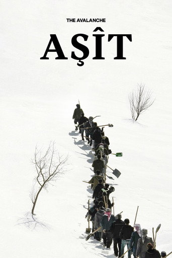 Movie poster for The Avalanche (2023)