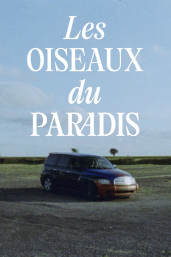 Les oiseaux du paradis poster